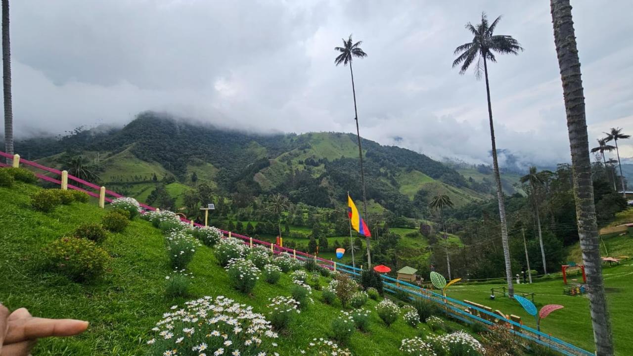 Casa Campo Valle De Cocora Salento Exterior foto